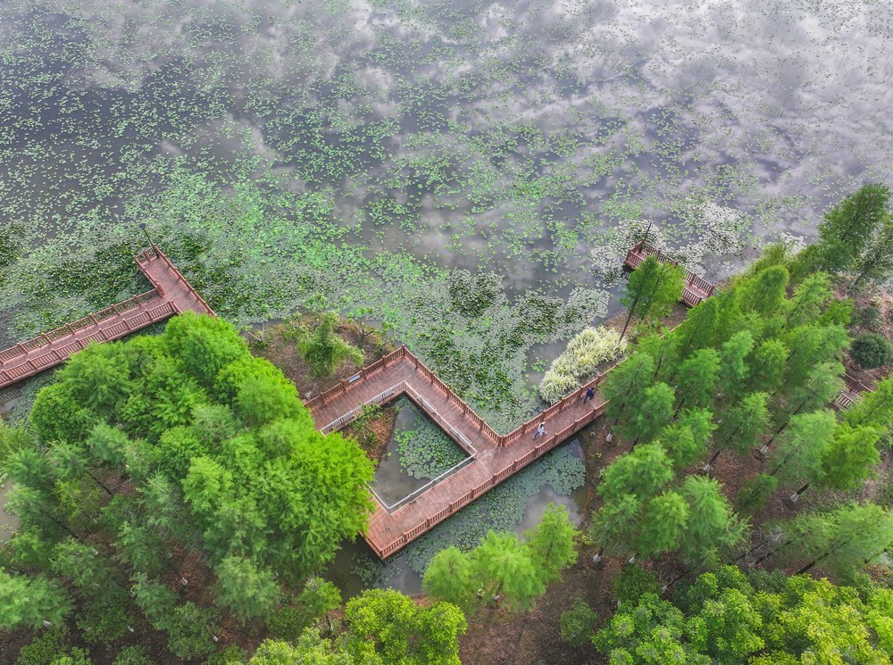 生态公园
道县