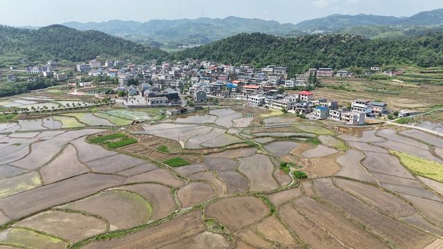 乡村 旅游 农业 农村 春光 田园