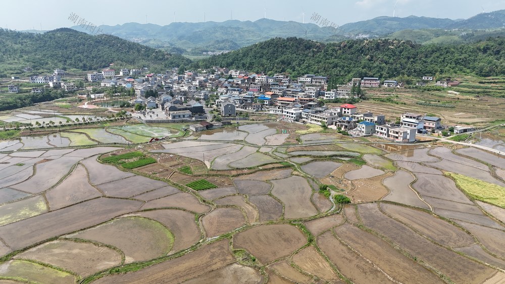 乡村 旅游 农业 农村 春光 田园