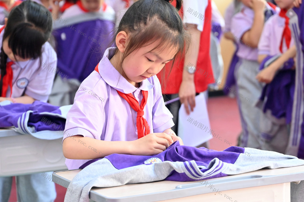 劳动节  劳动教育  小学