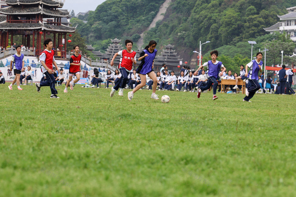 足球 学校 学生 体教融合 运动