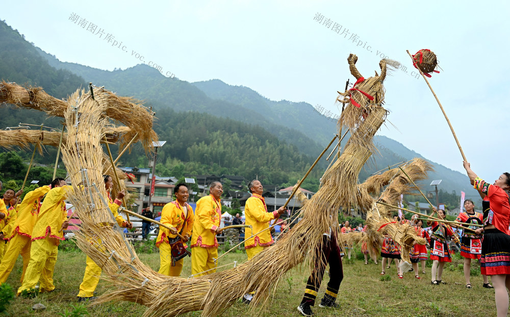 非遗 展演 传统 文化 苗族 侗族 群众 吹芦笙 舞吊龙 民间艺人 
