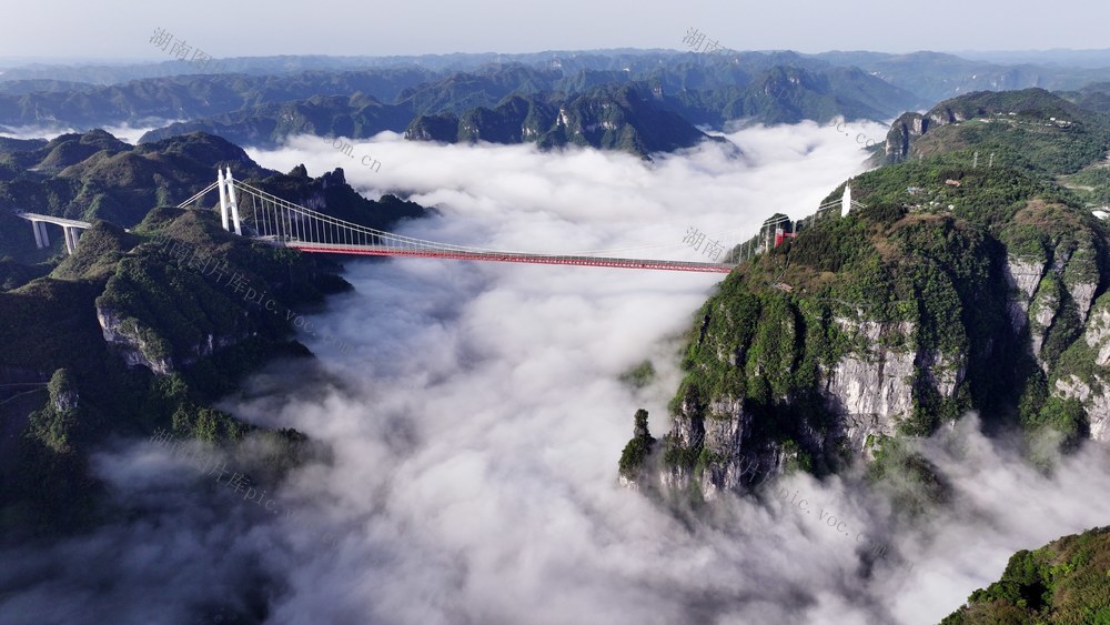 晨雾 大桥 山岚 美景