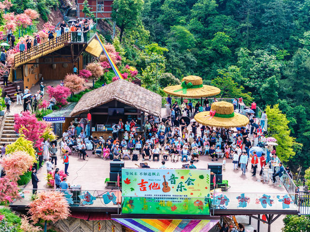 文化旅游  吉他  音乐会