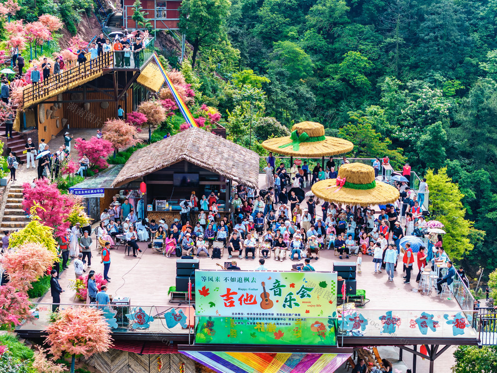 文化旅游  吉他  音乐会