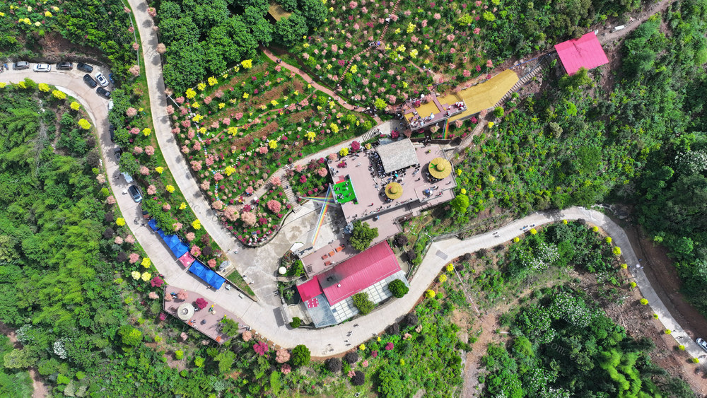 东安 红枫谷 音乐会 乡村游