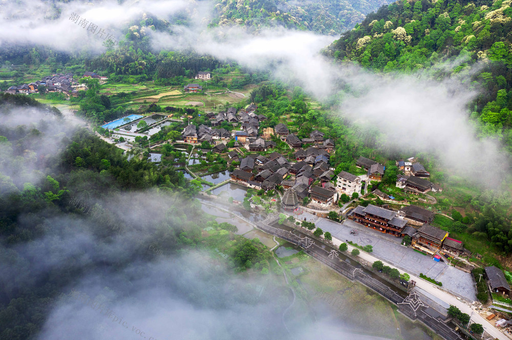 风景 春景  云雾  传统春落  景区