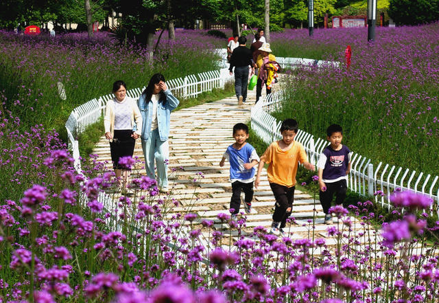 五一假期  赏花乐