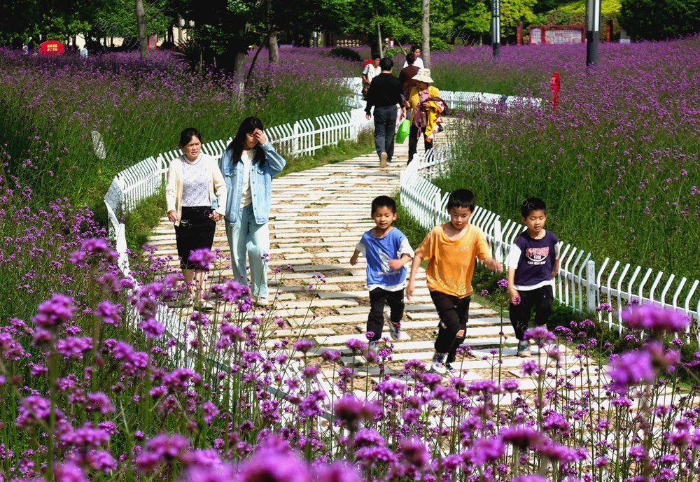 五一假期  赏花乐