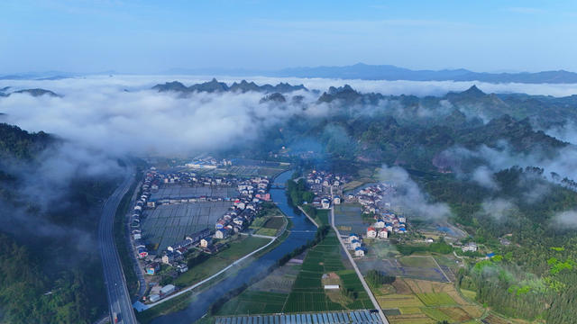乡村、清晨、农业、生态、农村