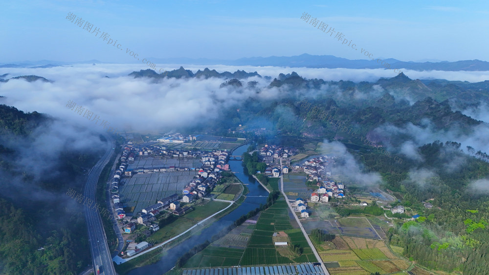 乡村、清晨、农业、生态、农村