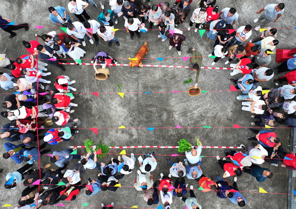 五一 农民趣味运动会 趣味比赛