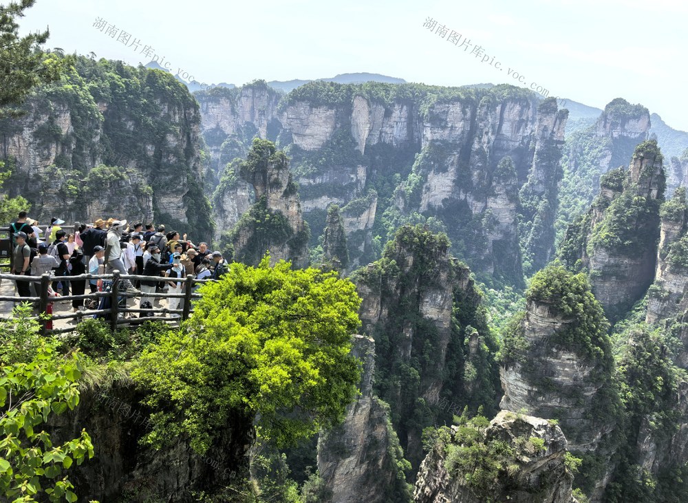 五一 假期 张家界