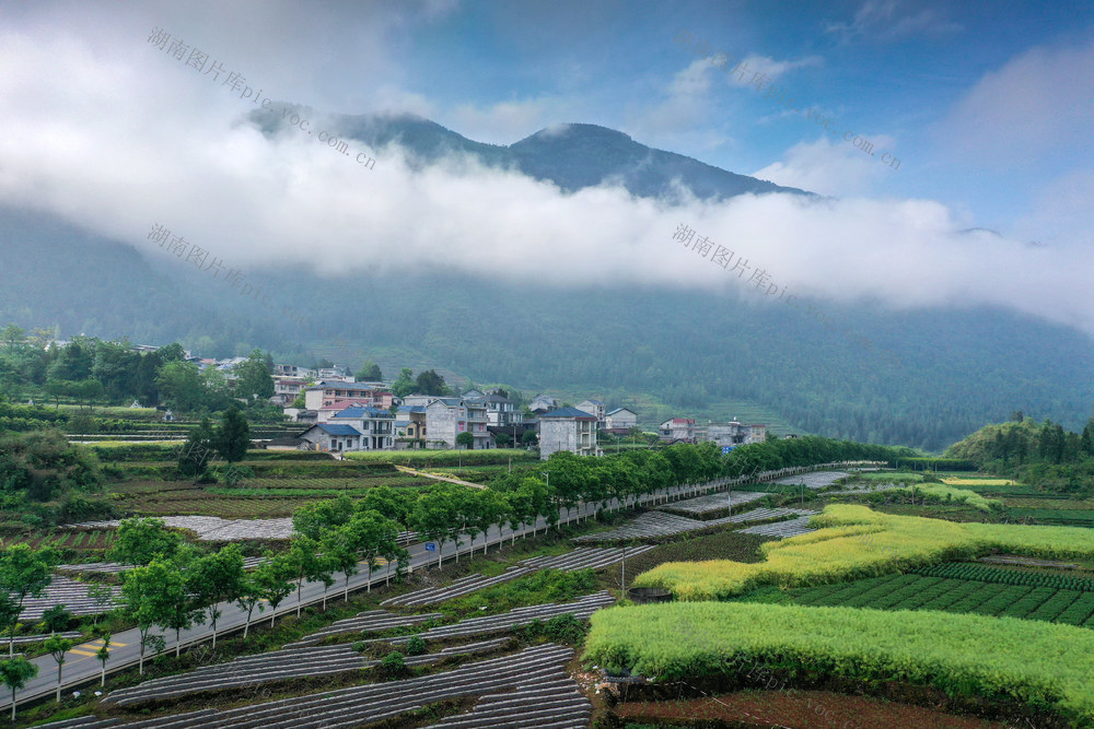 湖南，龙山，山村，画卷