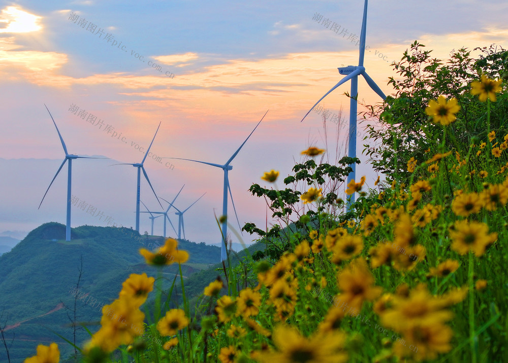 风电 绿色 低碳 新能源