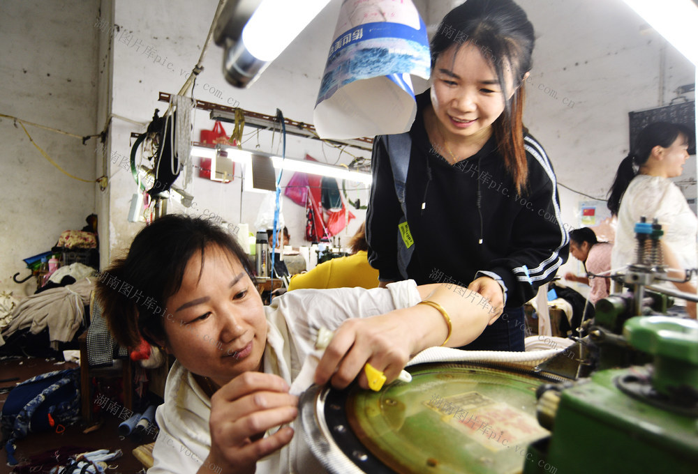 嘉禾：企业订单足 车间生产忙