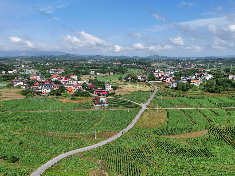 交通  路网  村道  公路  产业  乡村