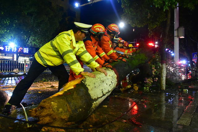 救灾，消防，交警，清障，保畅，道路安全，树木倒塌
