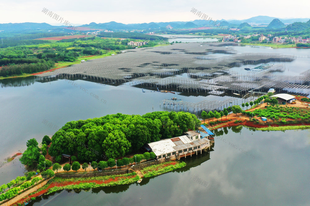 嘉禾：光伏产业 助绿色发展