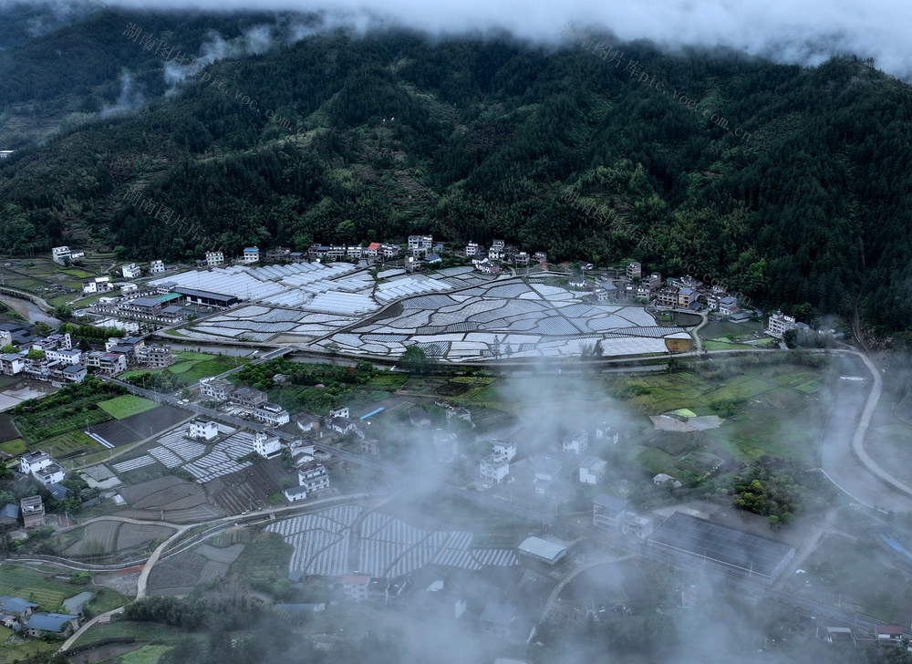 湖南桂东 梦幻村庄 画