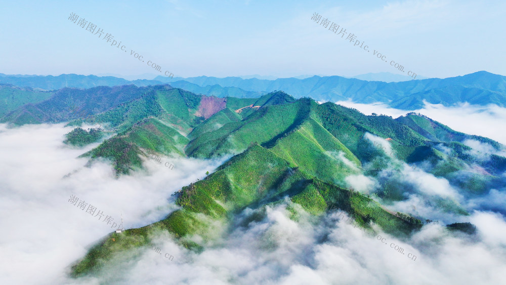 云海  景观  仙境  画卷