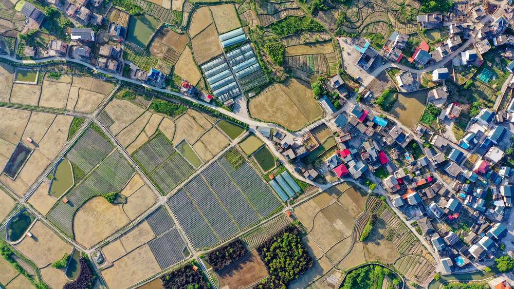 湖南新田：产业兴 乡村美