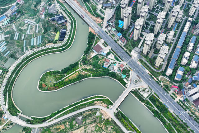 生态 城市 河 湿地 绿化