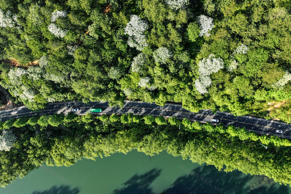 新能源 公交车 国道 路 四好公路