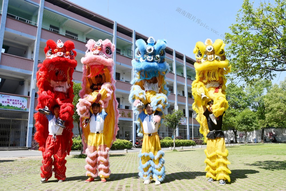 狮舞校园 传承文化