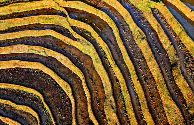 湖南桂东 阡陌梯田  一层薄金 画 禾坪梯田 早晨