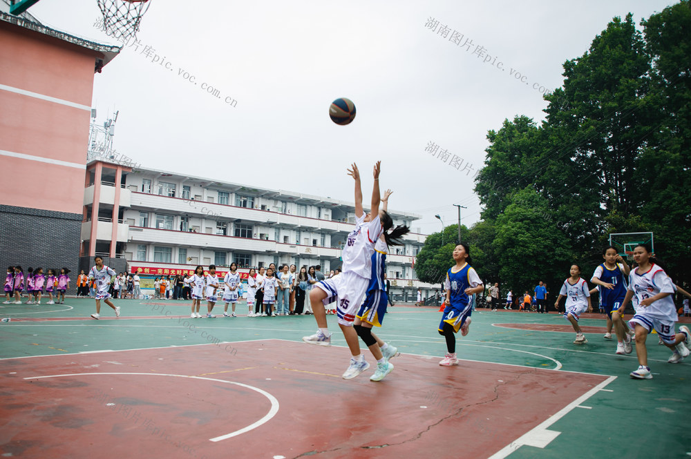 通道    小学生   篮球   比赛   校园