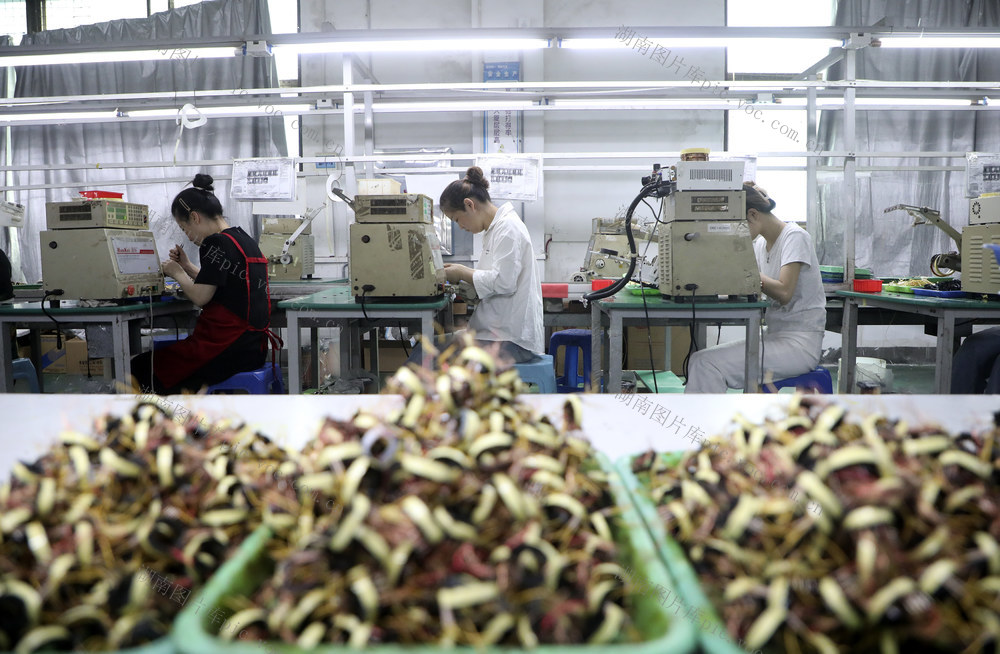 电子信息产业 园区企业 赶制订单 集群发展 县域经济