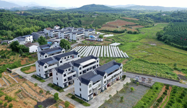 美丽乡村 乡村振兴 生态画卷 增收致富 产业发展