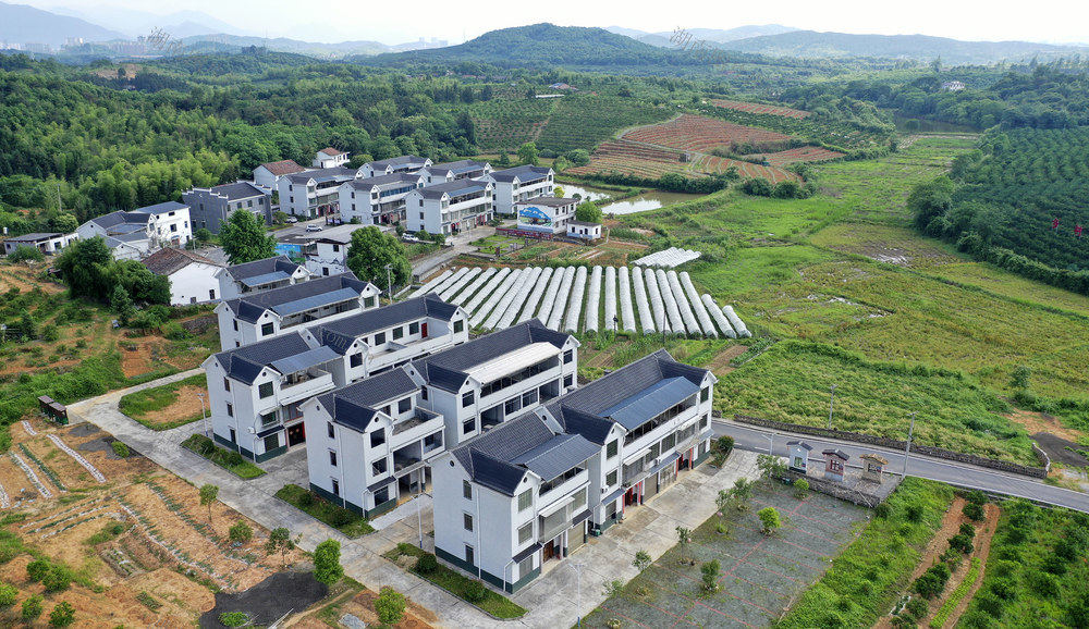 美丽乡村 乡村振兴 生态画卷 增收致富 产业发展