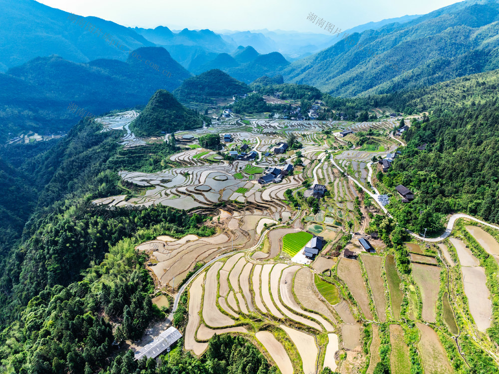 塘家梯田  耕作