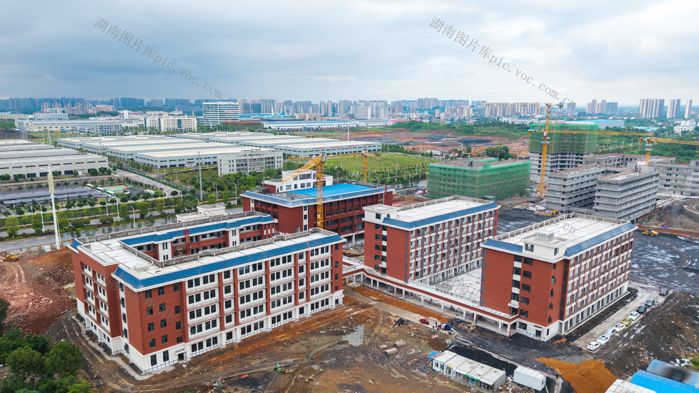 项目建设 学位建设 职业教育