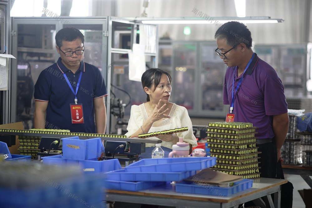 监督、纪检监察、从严治党、营商环境