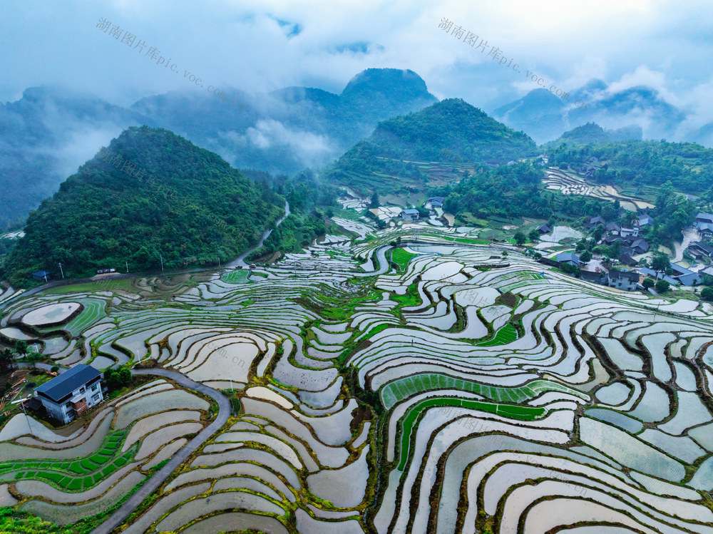 塘家梯田  风光  乡村旅游 