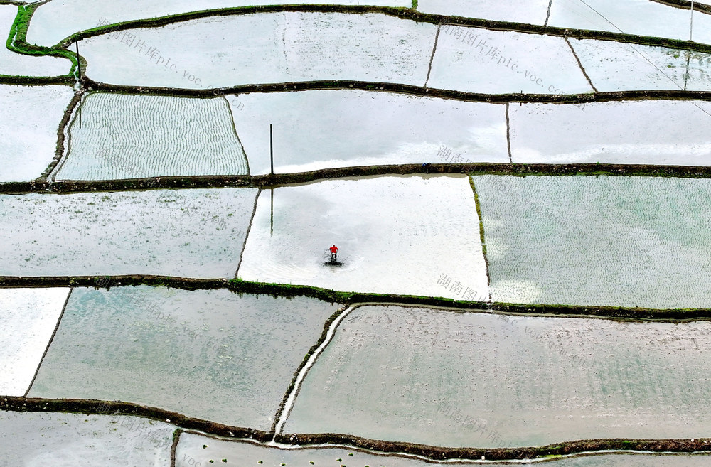 农忙 翻耕 农田 景色 如画 城步