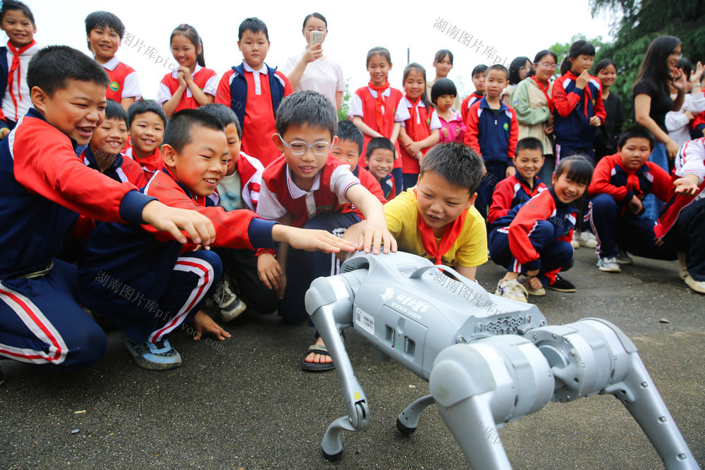 科普 科学素养 乡村教育 科技教育 实验演示