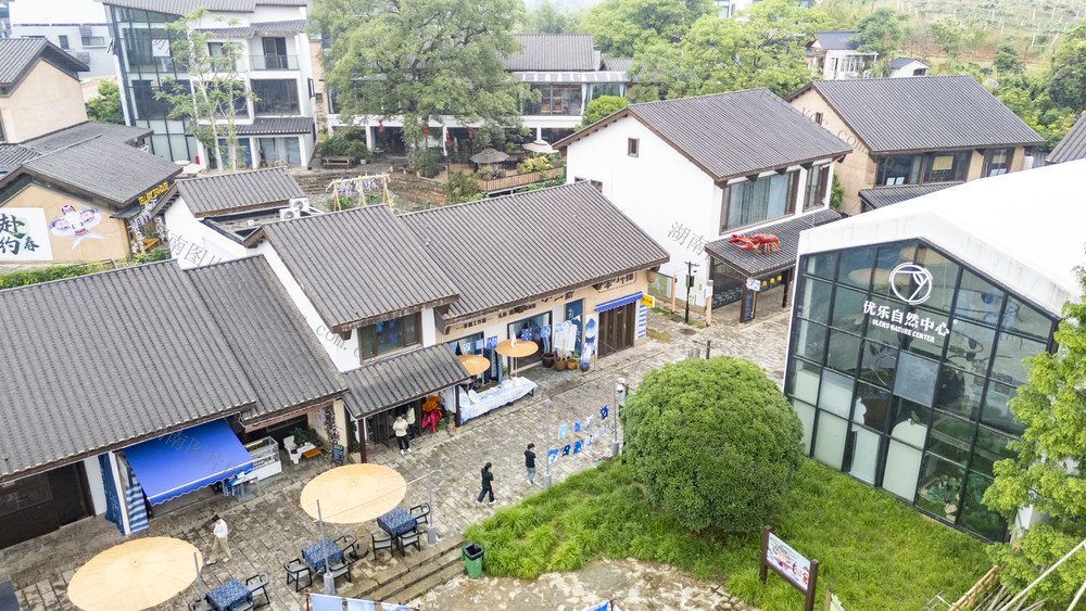 岳阳 农文旅融合 生态优势 产业振兴 多元业态