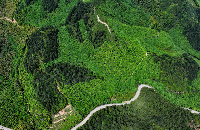 湖南桂东 森林公园 生态 美 齐云峰