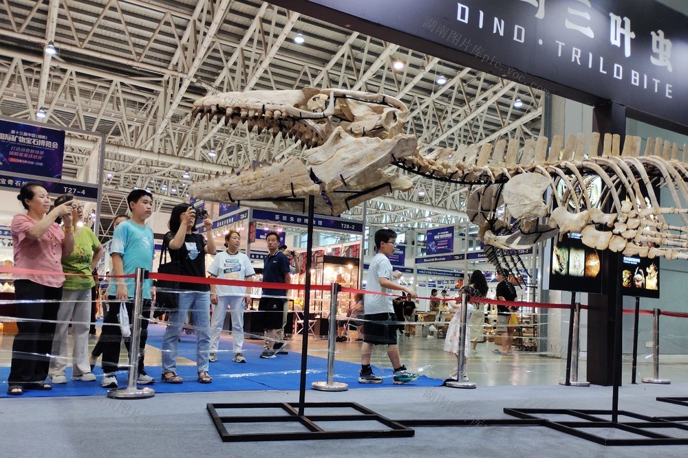 矿物  宝石  博览会 矿晶 促消费