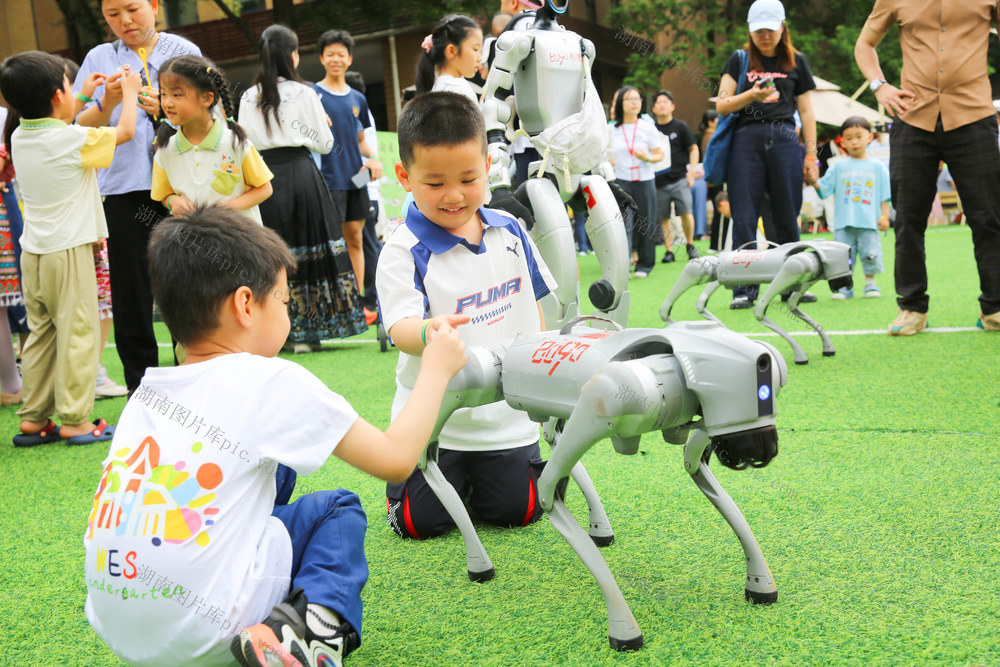 国际家庭日 嘉年华 国际化