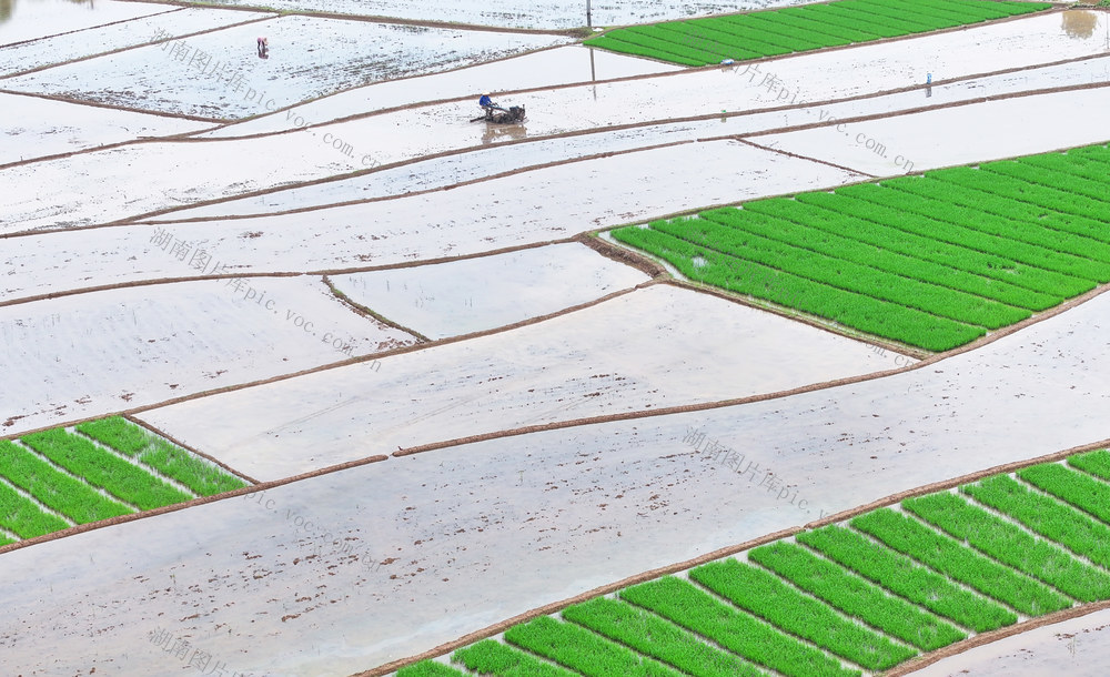 夏日 初夏  农事 农时  农忙
