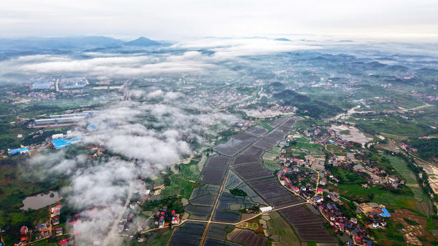 晨雾  乡村  生态  田园  农旅
