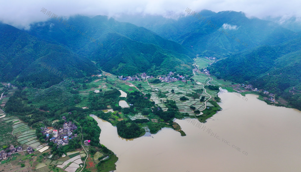 水稻田   云雾  缭绕  业兴景美  仙境