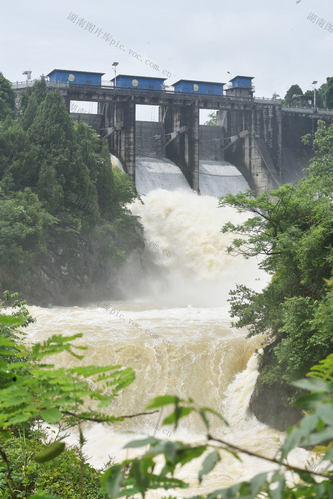 嘉禾：开闸泄洪保安全