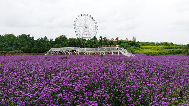乐享  旅游日  游玩  游客  公园