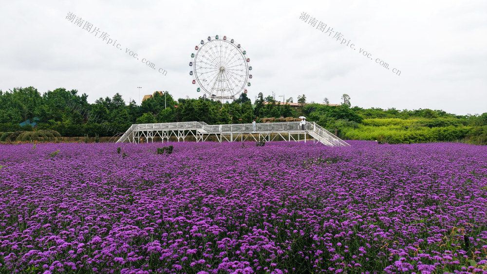 乐享  旅游日  游玩  游客  公园